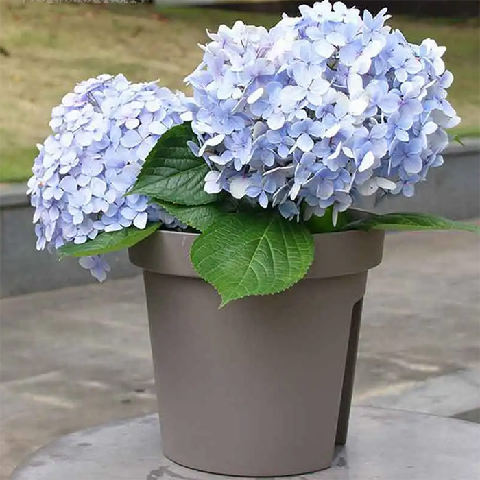 BalconyPots, балконски цветни саксии (2 броя) - Image 4