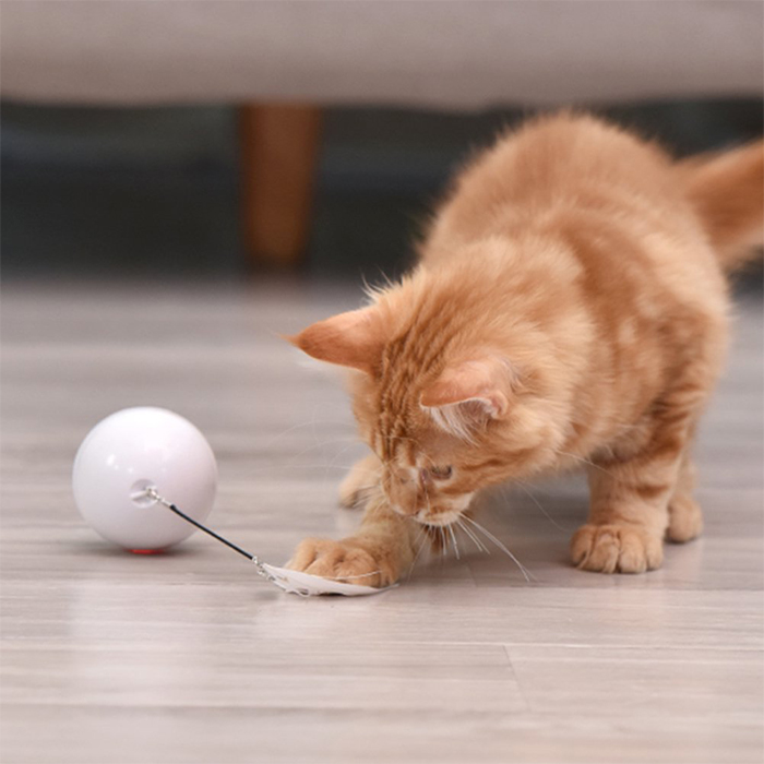 CatToy, играчка за котка, която бяга и маха пера - Image 2
