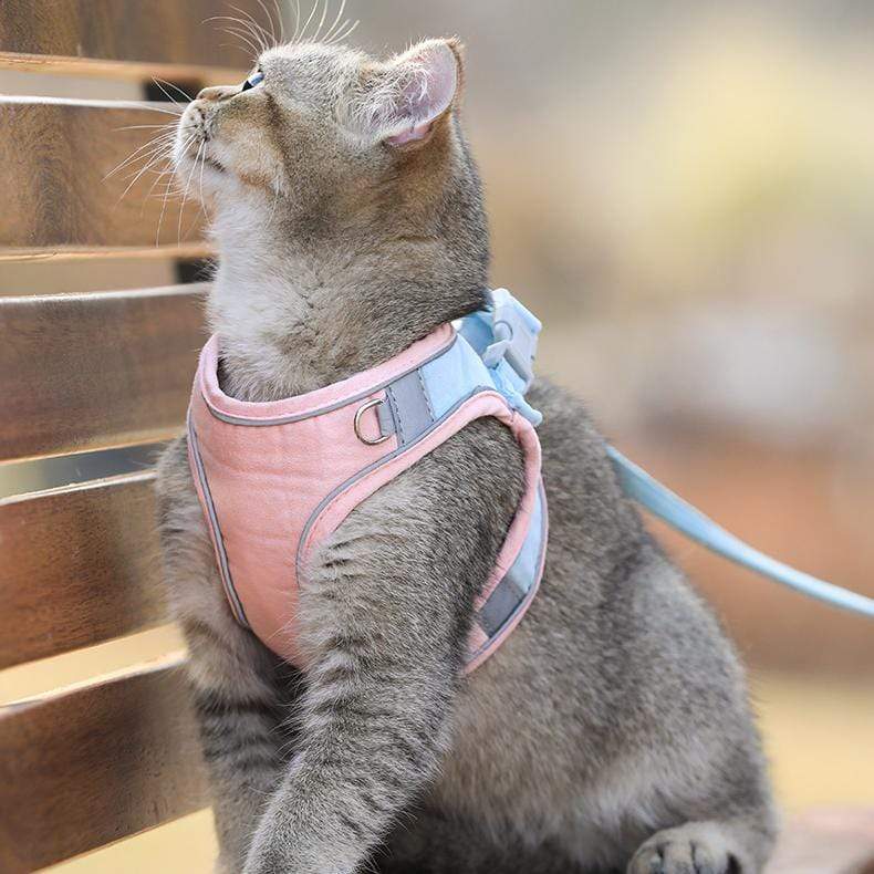 CatVest, повод за котки - Image 5