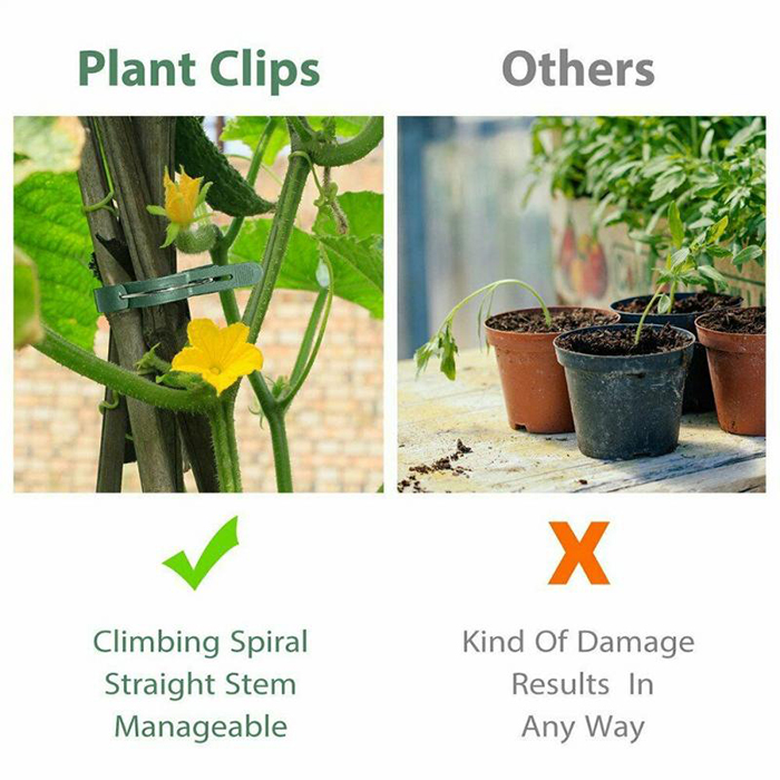 ClampsGarden, полезни и издръжливи скоби за разнообразие от растения на открито и в помещение (20 бр.) - Image 7