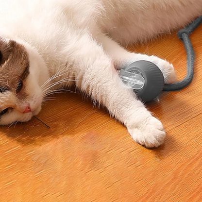 DOGTOY, ChewiePlay интерактивна топка - Image 4