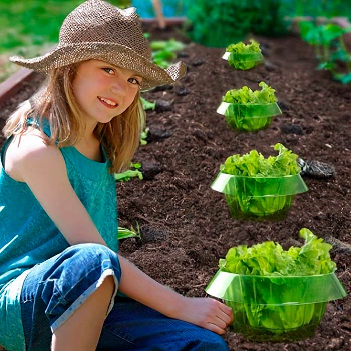 LettuceProtect, защита за маруля и други култури (10 броя) - Image 7