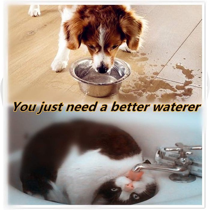 NoSplashBowl, чинията за пиене на кучето - Image 6