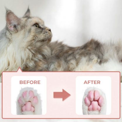 PAWTREAMER, PawPerfect Мини Тример за Домашни Любимци - Image 4