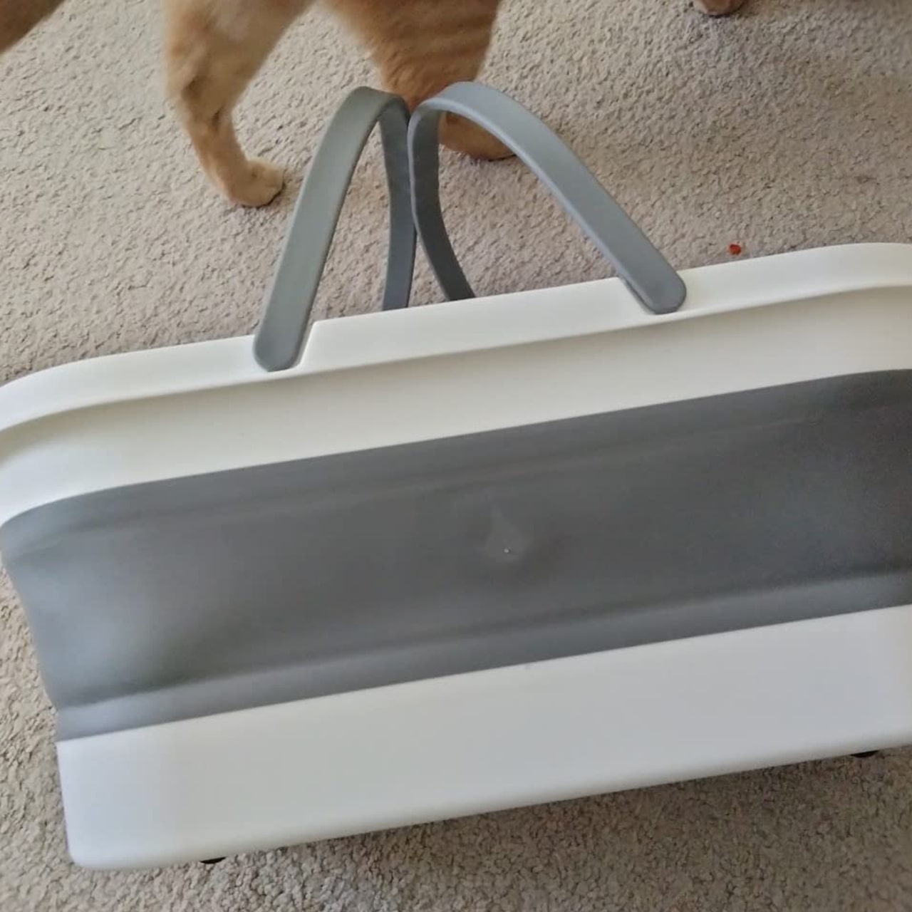 Pail, сгъваема кофа за лесно почистване - Image 2