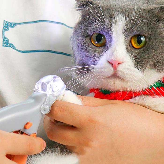 PawGloTrim, нокторезачка с LED светлина - Image 7