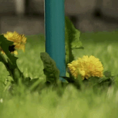 ROOTPULL, Премахвач на корени от неръждаема стомана - video