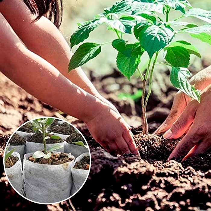 Торбичките за засаждане улесняват пресаждането!