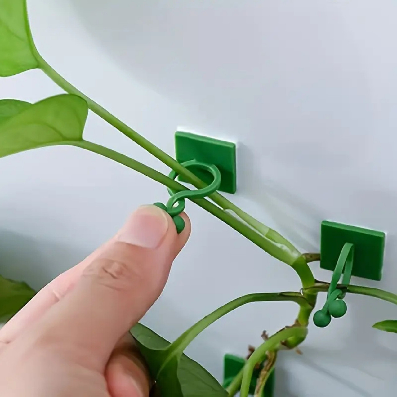 Vines, самозалепващи се стойки за растения и катерачи (100 броя) - Image 3